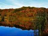 Clockburn Pond 2 by biffobear, photography->shorelines gallery