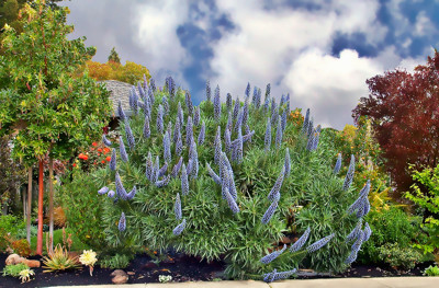 Click here to view at full resolution.