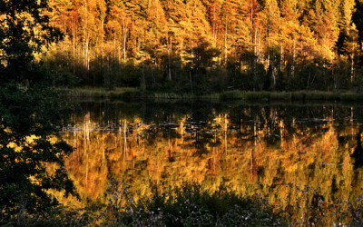 Click here to view at full resolution.