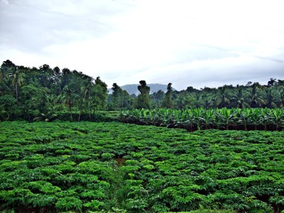 Click here to view at full resolution.