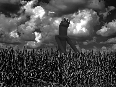 Click here to view at full resolution.