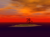 One Day in the Life of a Tree by DixieNormus, Computer->Landscape gallery