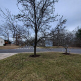 The Front Yard 7 by Jhihmoac, photography->general gallery