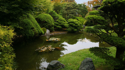 Click here to view at full resolution.