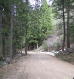 Quiet Forest by GoldGeezer, Photography->Landscape gallery