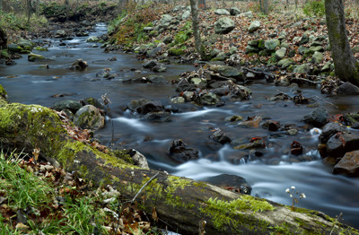 Click here to view at full resolution.