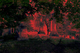 Oakwood Visions by JayMxPhotography, photography->manipulation gallery