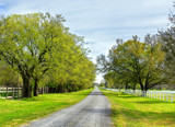 The Road Home by PatAndre, photography->landscape gallery