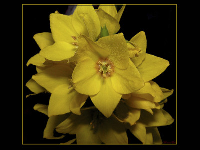 Click here to view at full resolution.