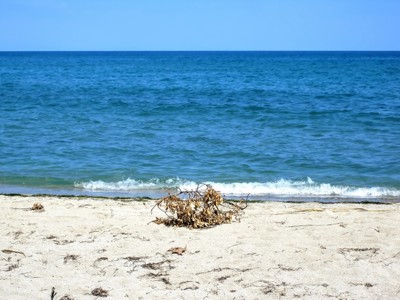 Click here to view at full resolution.