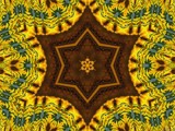 Sunflower Star by LynEve, photography->manipulation gallery