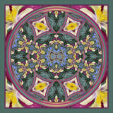 Aquilegia Transformation by LynEve, abstract gallery
