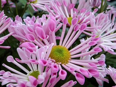 Click here to view at full resolution.