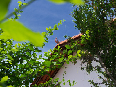 Click here to view at full resolution.