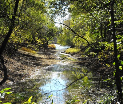 Click here to view at full resolution.