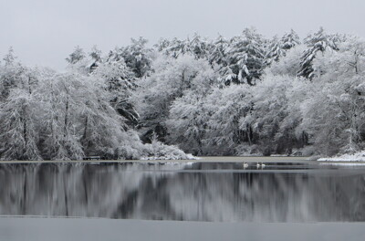 Click here to view at full resolution.