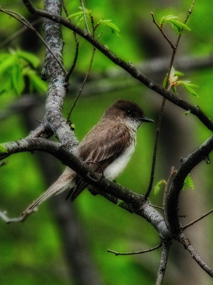 Click here to view at full resolution.