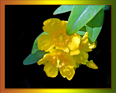 Click here to view at full resolution.