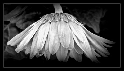 Click here to view at full resolution.