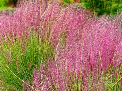 Click here to view at full resolution.