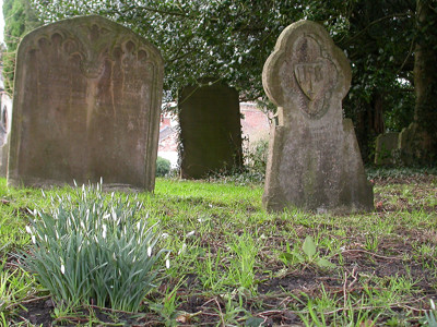 Click here to view at full resolution.