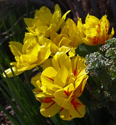 Click here to view at full resolution.
