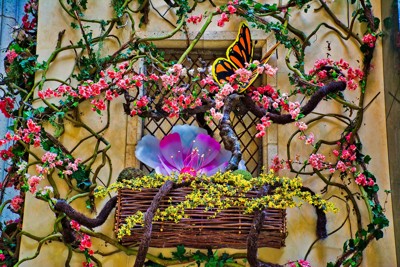 Click here to view at full resolution.