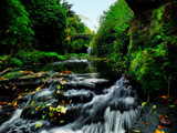 Jesmond Dene by biffobear, photography->landscape gallery