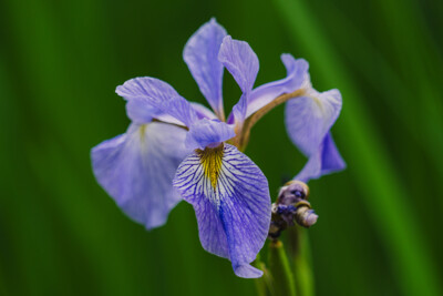 Click here to view at full resolution.