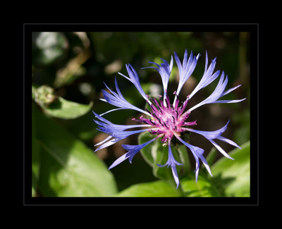 Click here to view at full resolution.