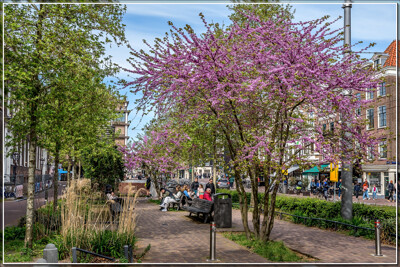 Click here to view at full resolution.