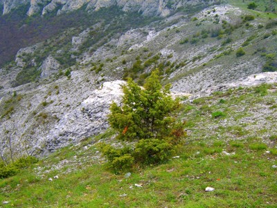 Click here to view at full resolution.