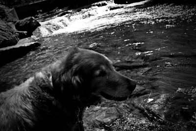Click here to view at full resolution.