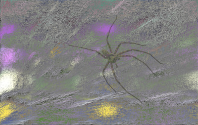 Click here to view at full resolution.