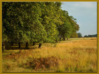 Click here to view at full resolution.