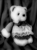 Just a little bear - for Susanne by mesmerized, photography->general gallery Just a little bear - for Susanne by mesmerized, photography->general gallery