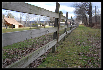 Click here to view at full resolution.