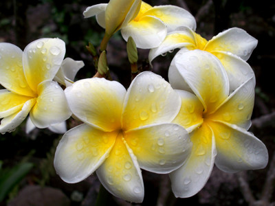 Click here to view at full resolution.