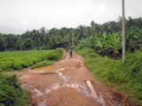 Road to villege by sahadk, Photography->Landscape gallery