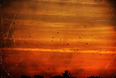 Click here to view at full resolution.