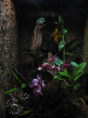 Click here to view at full resolution.