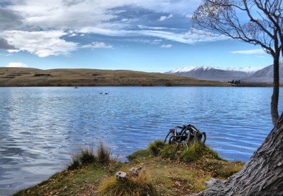 Click here to view at full resolution.