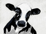 Have A Cow by bfrank, illustrations gallery