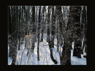 Click here to view at full resolution.