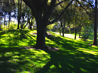 Click here to view at full resolution.