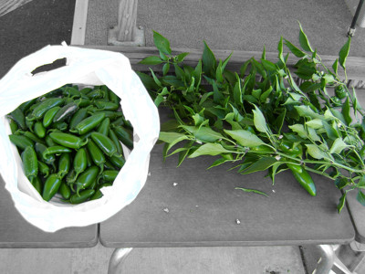 Click here to view at full resolution.