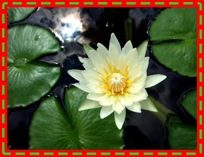Click here to view at full resolution.