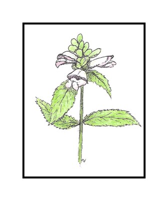 Click here to view at full resolution.