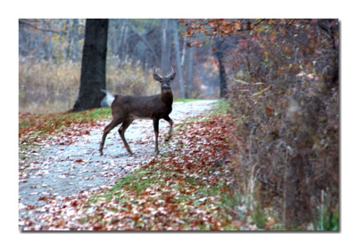 Click here to view at full resolution.