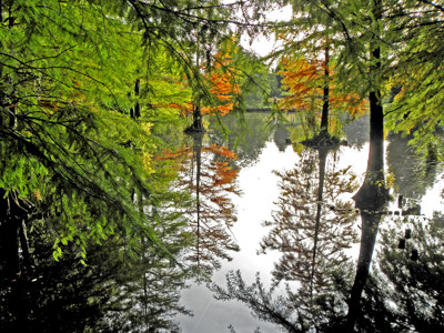 Click here to view at full resolution.